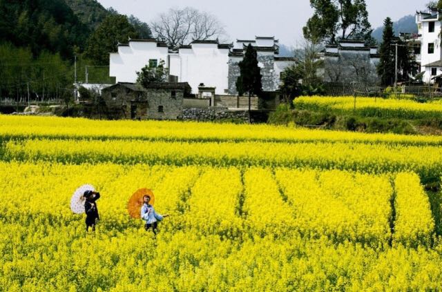 乐道-昆明丽江大理洱海双飞6日